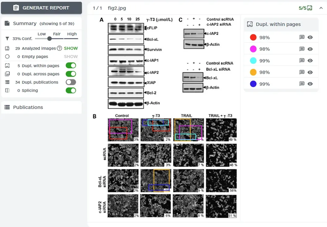 ImageTwin检测报告演示